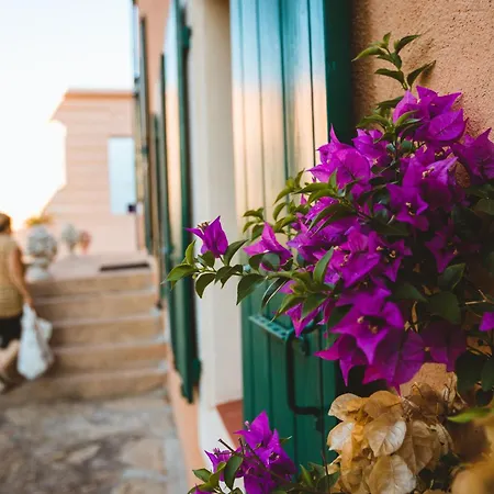 Chateau Ciceron Bed & Breakfast Ribaute