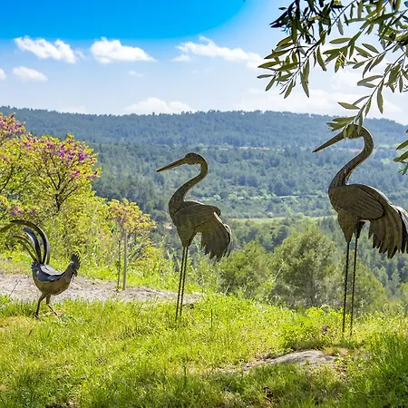 Chateau Ciceron Bed & Breakfast Ribaute